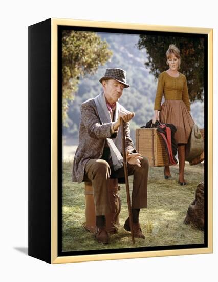 FINIAN'S RAINBOW, 1968 directed by FRANCIS FORD COPPOLA Fred Astaire and Petula Clark (photo)-null-Framed Stretched Canvas