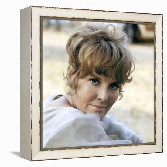 FINIAN'S RAINBOW, 1968 directed by FRANCIS FORD COPPOLA Petula Clark (photo)-null-Framed Stretched Canvas