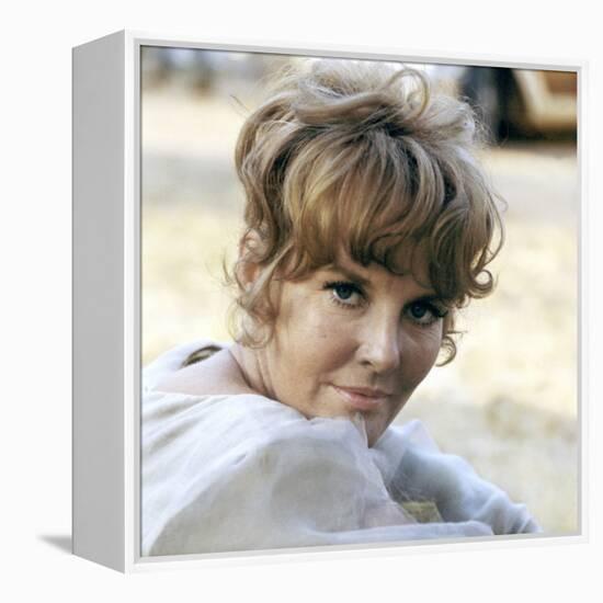 FINIAN'S RAINBOW, 1968 directed by FRANCIS FORD COPPOLA Petula Clark (photo)-null-Framed Stretched Canvas