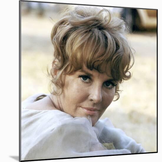 FINIAN'S RAINBOW, 1968 directed by FRANCIS FORD COPPOLA Petula Clark (photo)-null-Mounted Photo