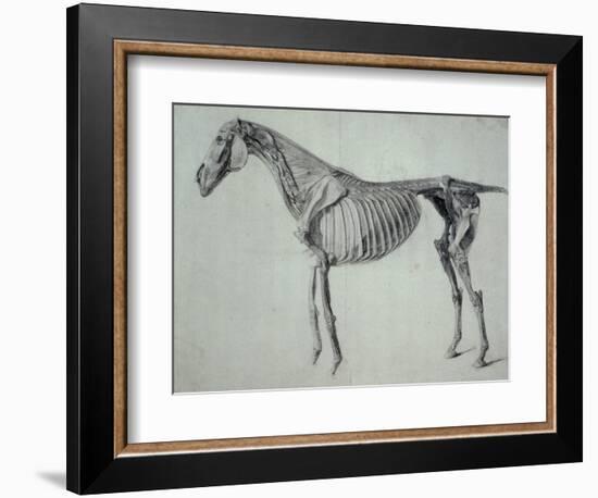 Finished Study for the Fifth Anatomical Table of a Horse-George Stubbs-Framed Giclee Print