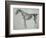 Finished Study for the Fifth Anatomical Table of a Horse-George Stubbs-Framed Giclee Print