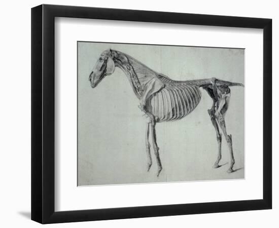 Finished Study for the Fifth Anatomical Table of a Horse-George Stubbs-Framed Giclee Print