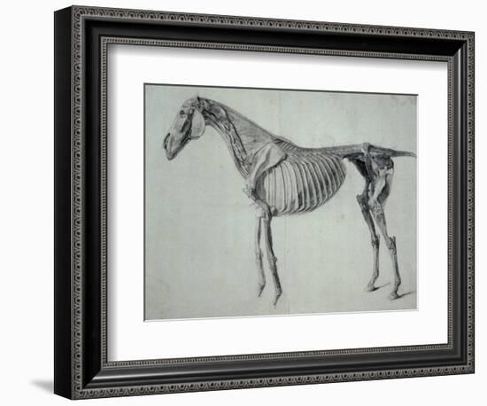 Finished Study for the Fifth Anatomical Table of a Horse-George Stubbs-Framed Giclee Print