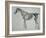 Finished Study for the Fifth Anatomical Table of a Horse-George Stubbs-Framed Giclee Print