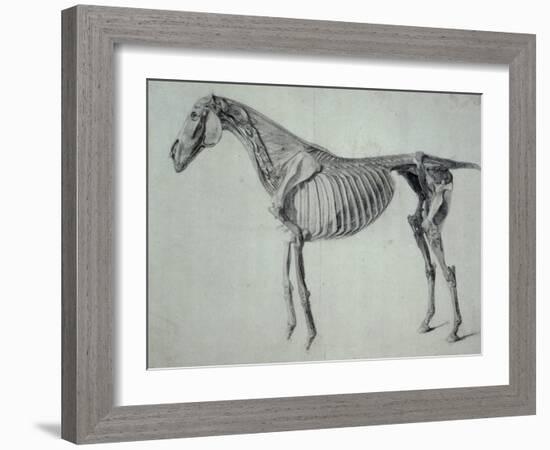 Finished Study for the Fifth Anatomical Table of a Horse-George Stubbs-Framed Giclee Print