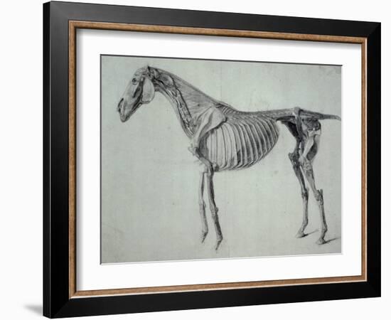 Finished Study for the Fifth Anatomical Table of a Horse-George Stubbs-Framed Giclee Print