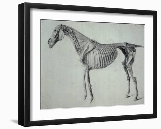 Finished Study for the Fifth Anatomical Table of a Horse-George Stubbs-Framed Giclee Print