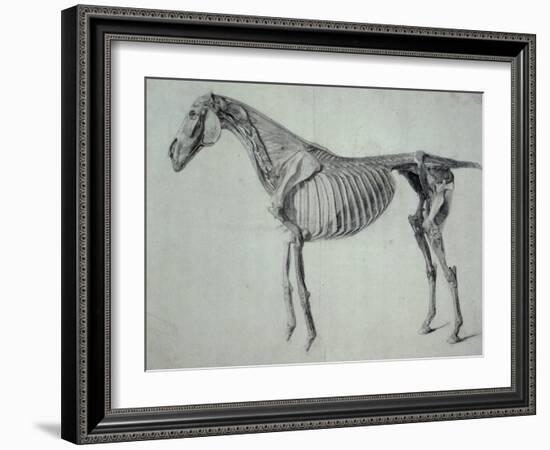 Finished Study for the Fifth Anatomical Table of a Horse-George Stubbs-Framed Giclee Print