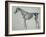 Finished Study for the Fifth Anatomical Table of a Horse-George Stubbs-Framed Giclee Print