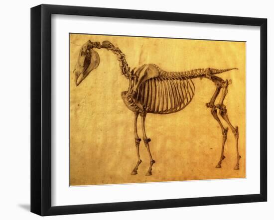 Finished Study for the First Skeletal Table of a Horse, circa 1766-George Stubbs-Framed Giclee Print