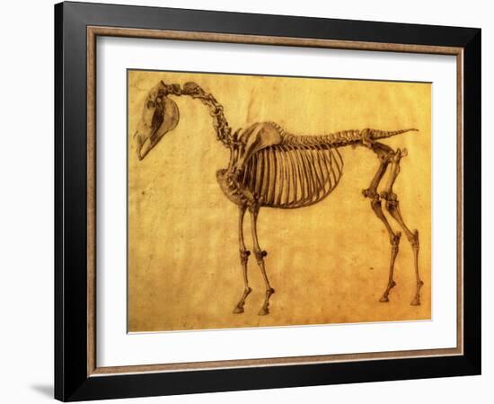 Finished Study for the First Skeletal Table of a Horse, circa 1766-George Stubbs-Framed Giclee Print