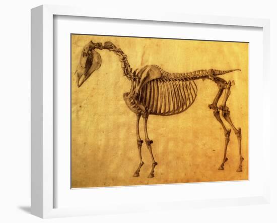 Finished Study for the First Skeletal Table of a Horse, circa 1766-George Stubbs-Framed Giclee Print