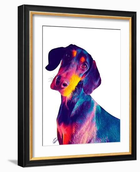 Finn Dog-Ruth Day-Framed Giclee Print
