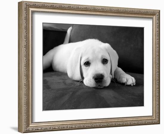 Finn-Kim Levin-Framed Photographic Print