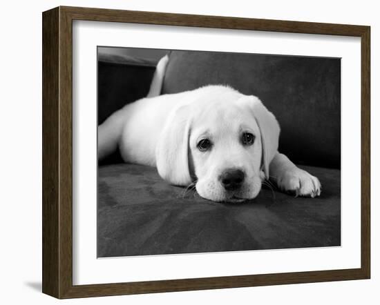 Finn-Kim Levin-Framed Photographic Print