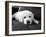 Finn-Kim Levin-Framed Photographic Print