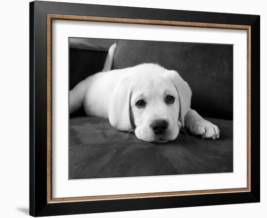 Finn-Kim Levin-Framed Photographic Print