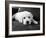 Finn-Kim Levin-Framed Photographic Print