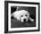 Finn-Kim Levin-Framed Photographic Print