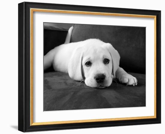 Finn-Kim Levin-Framed Photographic Print