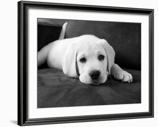 Finn-Kim Levin-Framed Photographic Print