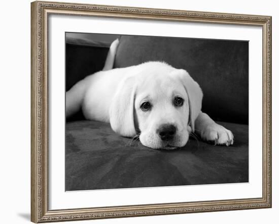 Finn-Kim Levin-Framed Photographic Print