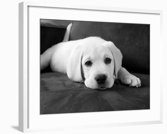 Finn-Kim Levin-Framed Photographic Print