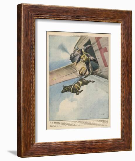 Finnish Parachutist Jumps with His Dog-Vittorio Pisani-Framed Photographic Print