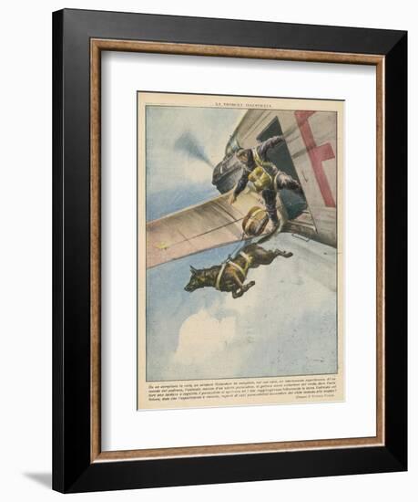 Finnish Parachutist Jumps with His Dog-Vittorio Pisani-Framed Photographic Print