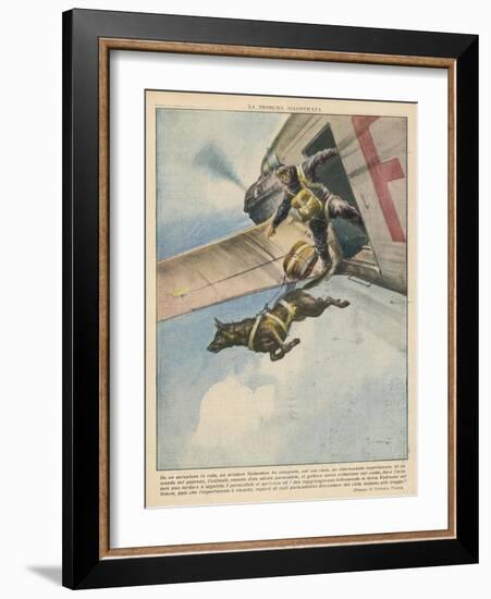 Finnish Parachutist Jumps with His Dog-Vittorio Pisani-Framed Photographic Print