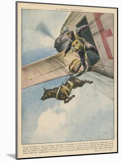 Finnish Parachutist Jumps with His Dog-Vittorio Pisani-Mounted Photographic Print