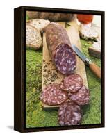 Finocchiona, Tuscan Salami with Wild Fennel Seeds, Florence, Tuscany, Italy, Italian Gastronomy-Nico Tondini-Framed Premier Image Canvas