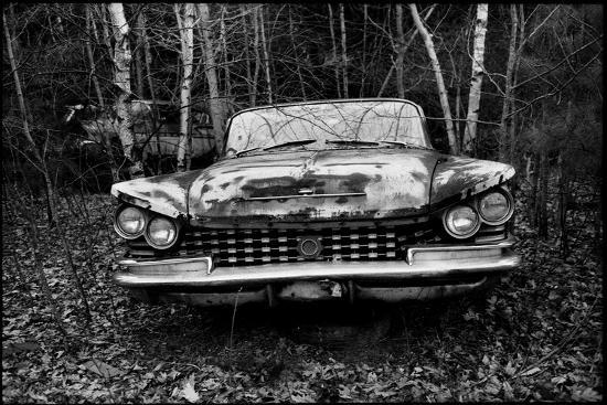Photographic Print, , large