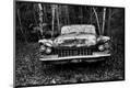Photographic Print