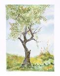 Cherry Tree in Norwood Glen-Fioravanti-Limited Edition