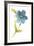 Fiore Blu II-Sandra Jacobs-Framed Giclee Print