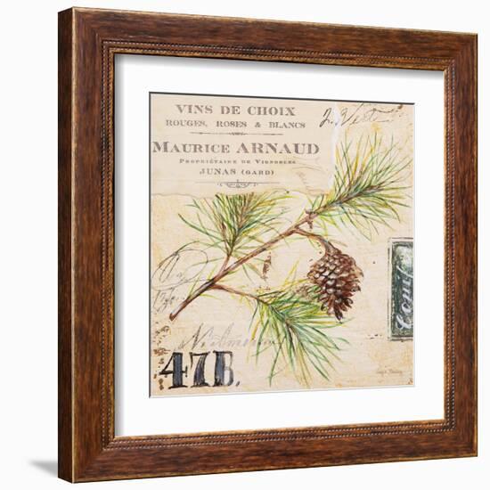 Fir Branch…Sketchbook-Angela Staehling-Framed Art Print