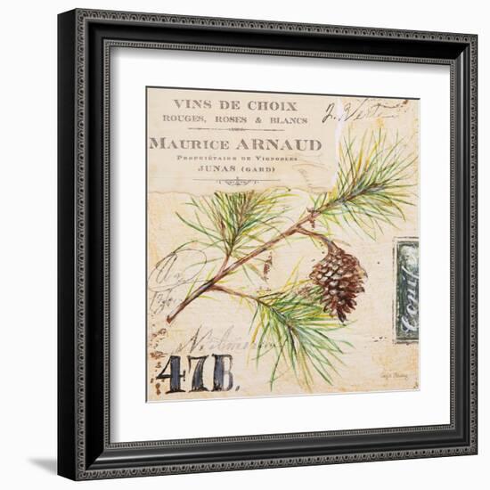 Fir Branch…Sketchbook-Angela Staehling-Framed Art Print