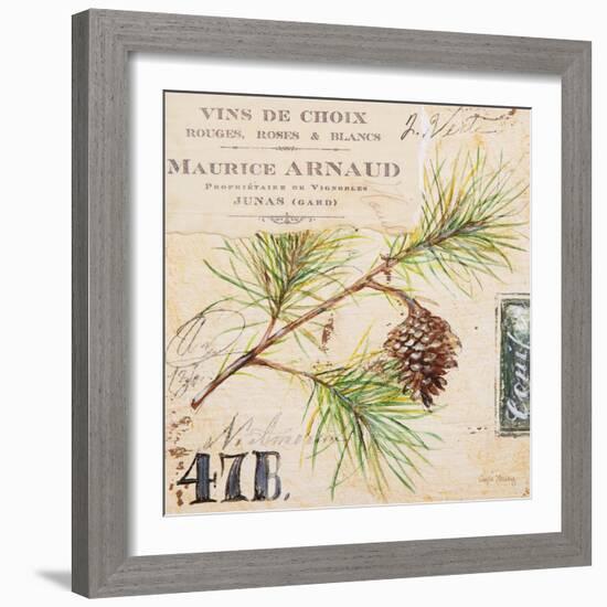 Fir Branch…Sketchbook-Angela Staehling-Framed Art Print