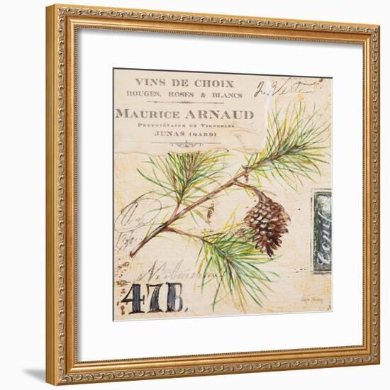 Fir Branch…Sketchbook-Angela Staehling-Framed Art Print