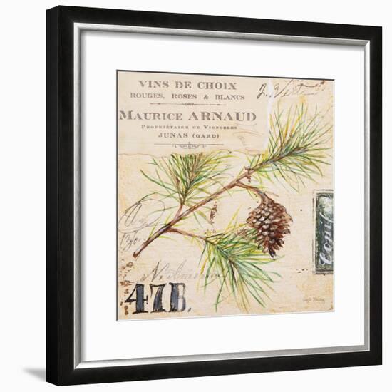 Fir Branch…Sketchbook-Angela Staehling-Framed Art Print