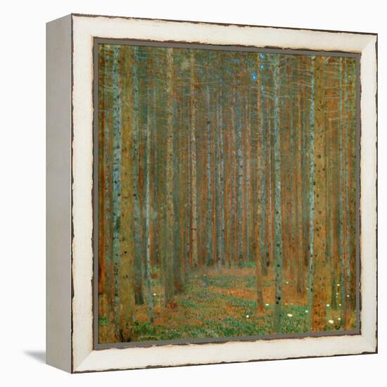 Fir Forest I - Klimt, Gustav (1862-1918) - 1901 - Oil on Canvas - 90X90 - Kunsthaus Zug, Collection-Gustav Klimt-Framed Premier Image Canvas