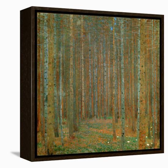 Fir Forest I - Klimt, Gustav (1862-1918) - 1901 - Oil on Canvas - 90X90 - Kunsthaus Zug, Collection-Gustav Klimt-Framed Premier Image Canvas