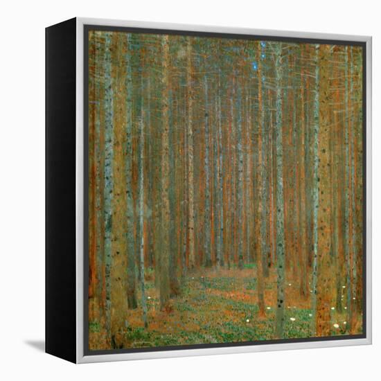 Fir Forest I - Klimt, Gustav (1862-1918) - 1901 - Oil on Canvas - 90X90 - Kunsthaus Zug, Collection-Gustav Klimt-Framed Premier Image Canvas