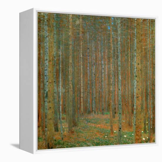 Fir Forest I - Klimt, Gustav (1862-1918) - 1901 - Oil on Canvas - 90X90 - Kunsthaus Zug, Collection-Gustav Klimt-Framed Premier Image Canvas