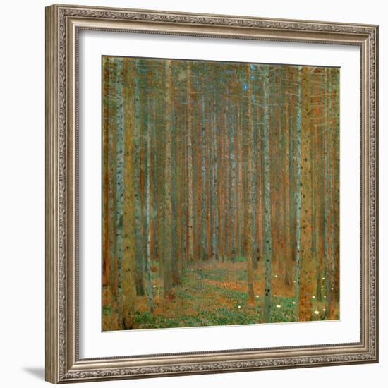 Fir Forest I - Klimt, Gustav (1862-1918) - 1901 - Oil on Canvas - 90X90 - Kunsthaus Zug, Collection-Gustav Klimt-Framed Giclee Print