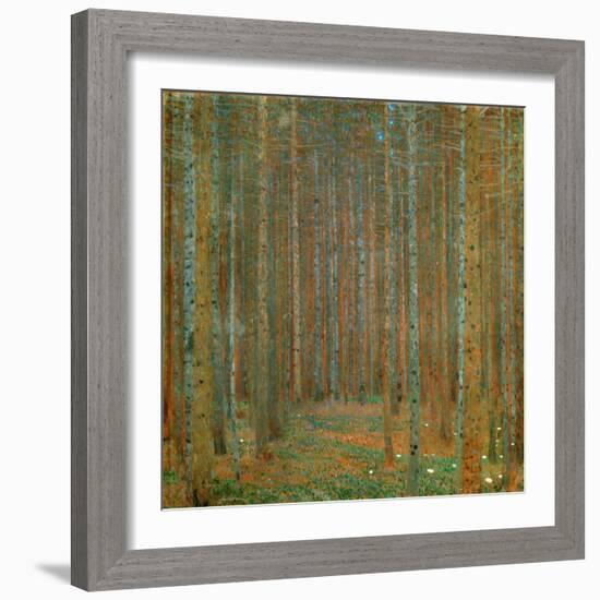 Fir Forest I - Klimt, Gustav (1862-1918) - 1901 - Oil on Canvas - 90X90 - Kunsthaus Zug, Collection-Gustav Klimt-Framed Giclee Print