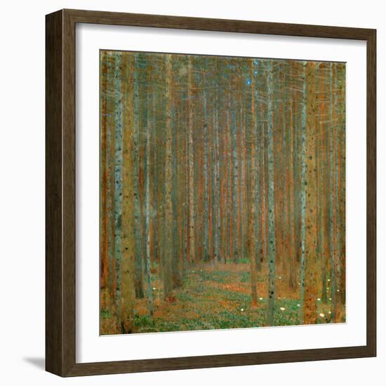 Fir Forest I - Klimt, Gustav (1862-1918) - 1901 - Oil on Canvas - 90X90 - Kunsthaus Zug, Collection-Gustav Klimt-Framed Giclee Print