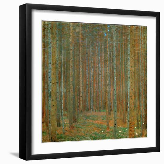 Fir Forest I - Klimt, Gustav (1862-1918) - 1901 - Oil on Canvas - 90X90 - Kunsthaus Zug, Collection-Gustav Klimt-Framed Giclee Print